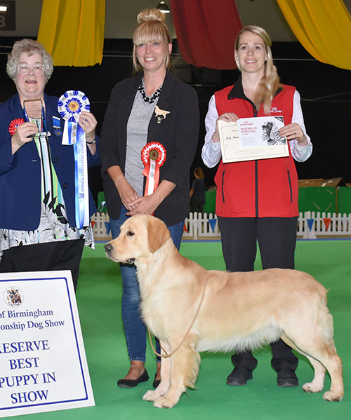 Mrs M C Loverock & Mrs L Waldron-Smith Thornywait Space Cowboy At Lovissa with BPIS judge Mrs M Deats & Mrs L Duffy (Royal Canin)