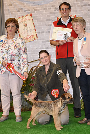 Mrs J Guvercin Ch Glebeheath Just A Gigolo with group judge Mrs L A Crawley, Mrs L M Irving (Committee) & Mr J Wolstenholme (Royal Canin) 