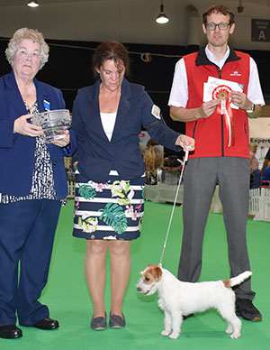 Mrs E S M Stromberg Whistlewood's What About Me with puppy group judge Mrs M Deats & Mr J Wolstenholme (Royal Canin)