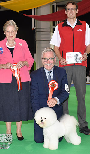 Messrs M Coad & R Smith Ch Regina Bichon You Rock My World at Pamplona with group judge Mrs G J Lilley & Mr J Wolstenholme (Royal Canin)