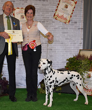 Mrs S A Neath-Duggan & Miss S Baker Ch Buffrey Hanky Panky By Dalleaf JW with group judge Mr R Newhouse