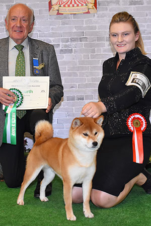 Miss M S Dunhill Hall Ch Kaga No Shouji Go Sapporo Kagasou Vormund (Imp) with group judge Mr R Newhouse