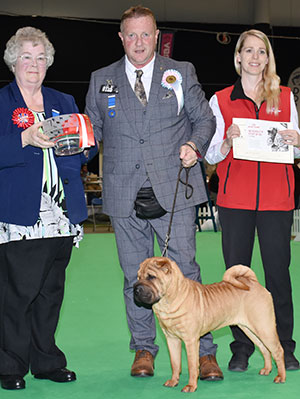 Mr & Mrs A D & H K Morris Ashowai One Moment In Time with puppy group judge Mrs M Deats & Mrs L Duffy (Royal Canin) 