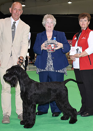 Mr & Mrs K Cullen Philoma Leading Lady with puppy group judge Mrs M Deats & Mrs D Bassett (Royal Canin)