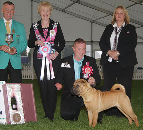 Mr A D & Mrs H K Morris Ashowai Taste Of Diamonds with BPIS judge Mrs A E Macdonald, Mr E M Patterson (Treasurer) & A Morton (Royal Canin) 