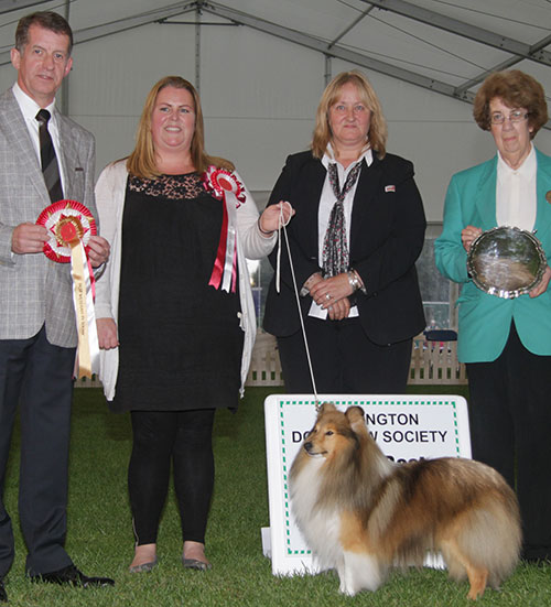 Mrs A A Stafford Ch Rannerdale Bugsy Malone with BVIS judge Mr J Thirlwell, Mrs J Corner (Committee) & A Morton (Royal Canin)