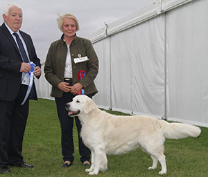 Ms S Stevens & Mr M Hadden Sh Ch Ir Ch Gunhills January Master JW Sh.CM with group judge Mr M Armstrong