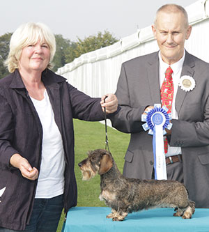 Mrs Z Thorn Andrews Ch Drakesleat Scent Sybil with group judge Mr B Reynolds-Frost