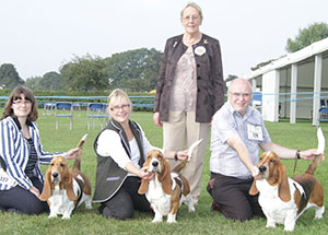 Stonton, Melbourne & Isted - Basset Hound with breeder group judge Mrs M Purnell-Carpenter 