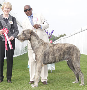 Mr C & Mrs J Amoo Sade Tyrion with puppy group judge Mrs A E Macdonald