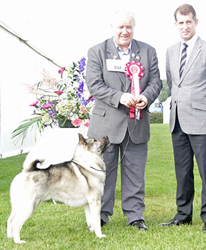 Messrs C & B Middleton Ch Ithim Agus Suim Sh CM with veteran group judge Mr J Thirlwell