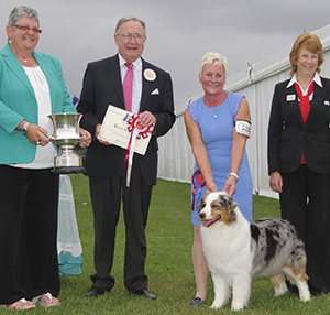 N & A Allan & R Harlow Ch Allmark Fifth Avenue JW with group judge Mr W R Irving & Miss S Berry (Committee) 