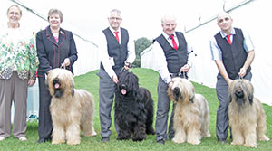 Fosterbrie - Briard with breeder group judge Mrs M Purnell-Carpenter