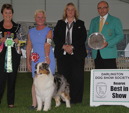 N & A Allan & R Harlow Ch Allmark Fifth Avenue JW with BIS judge Mrs J Peak, Mr S Plane (Assistant Secretary) & A Morton (Royal Canin) 