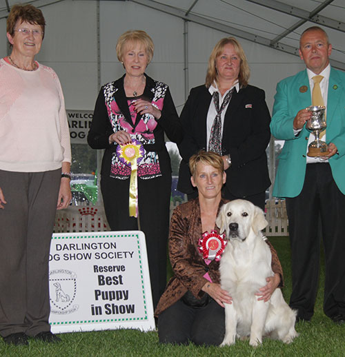 Mrs C E Hughes Landking Play With Me (Imp Prt) with BPIS judge Mrs A E Macdonald, Mr M Walshaw (Committee) & A Morton (Royal Canin)