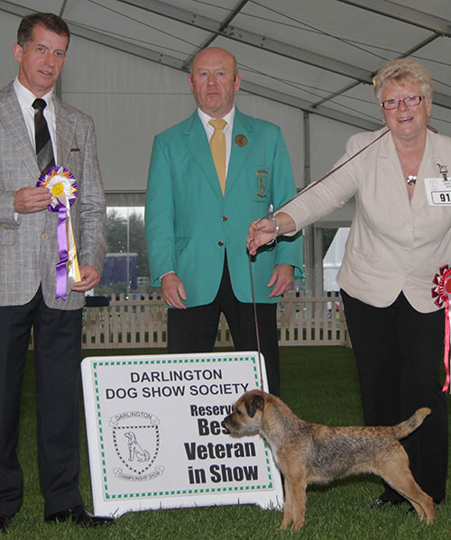 Mrs S J Baxter Am Can Int Ch Sulan Fancy That with BVIS judge Mr J Thirlwell & Mr D Mitchell (Committee)R 
