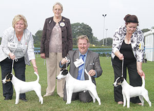 Brooks - Fox Terrier Smooth with breeder group judge Mrs M Purnell-Carpenter 