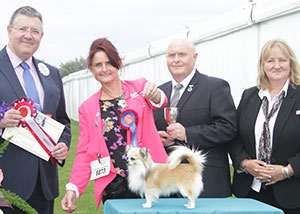 Mrs L J Adams Ch Hollyel Topaz Chancer JW with group judge Mr T Mather, Mr D Guy (Secretary) & A Morton (Royal Canin)