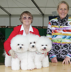 Sims - Bichon Frise with breeder group judge Mrs M Purnell-Carpenter 