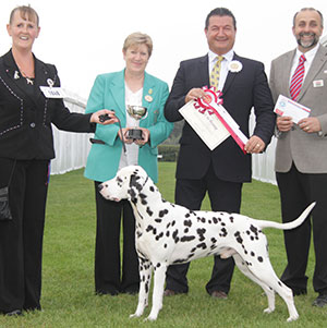 Mr K & Mrs D L Whincup Ch Tamilanda Panther Lilly JW Sh.CM with group judge Mr P Harding, Miss G Marley (Committee) & Mr A Bongiovanni (Royal Canin)