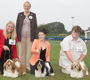 Conway - Shih Tzu with breeder group judge Mrs M Purnell-Carpenter