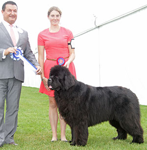 Mrs C & Mr G Morrell Ch Morrelham Highland Park JW Sh.CM with group judge Mr P Harding