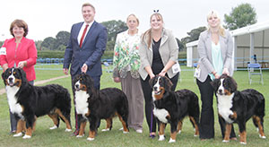 Mair & Hartley Mair - Bernese Mountain Dog with breeder groups judge Mrs M Purnell-Carpenter