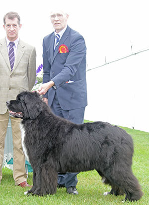 Mr W J & Mrs C E A Lloyd Cewrirdwr Llyn Gwynant with veteran group judge Mr J Thirlwell 