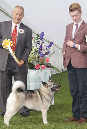 Mr R I Greaves & Mrs N D & Mr W S Croxford Ch & Ir Ch Ennafort The One And Only Sh.CM with group judge Mr B Reynolds-Frost