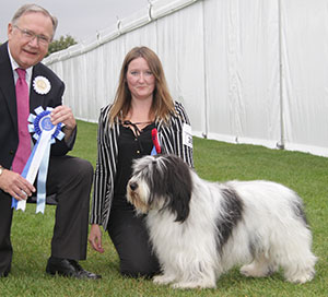 Miss L Mottram Mybeards Hero with group judge Mr W R Irving