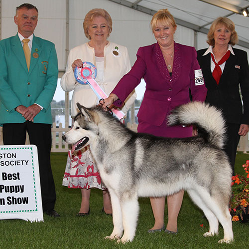 Ms S Ellis Chayo Classic Design with BPIS group judge Mrs G C Chapman, Mr E M Paterson (Treasurer) & M Masterman (Royal Canin) 