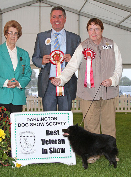 Mrs J S Mance Ch Schipdale Orlando with BVIS judge Mr J Horswell & Miss J E Corner (Committee) 