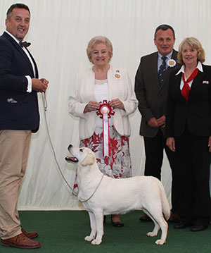 Miss T Stafford Farnfield Tallulah Blue with puppy group judge Mrs G C Chapman & M Masterman (Royal Canin)