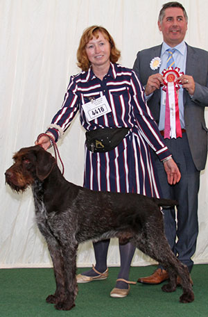 Mr P F & Mrs M McCullough Multi Ch Timo I I V Bockenhagen At Kimmax (Imp) with veteran group judge Mr J Horswell 