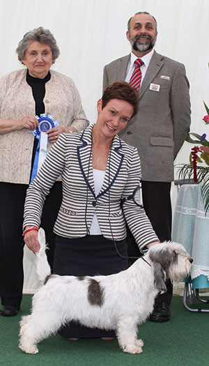 Mrs S Robertson, Mrs W Doherty & Mr R Scott Ch Soletrader Annie Mac with group judge Mrs V Foss & Mr A Bongiovanni (Royal Canin)