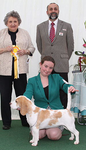 Miss S Jackson Ch Bayard Forgetmeknot JW with group judge Mrs V Foss & Mr A Bongiovannu (Royal Canin) 