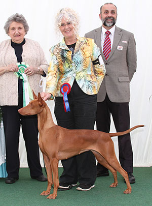 Mrs E Dunhill & Miss M S Dunhill-Hall Reedly Road Legacy Aw'14 (Imp) with group judge Mrs V Foss & Mr A Bongiovanni (Royal Canin) 