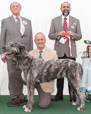 Mrs D Tebbutt Brachan Dolig Wen Caredig with puppy group judge Mr P Bakewell & Mr A Bongiovanni (Royal Canin)) 