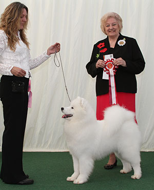 Mrs A Kirkwood Vandreem Imperial Salessi with puppy group judge Mrs G C Chapman