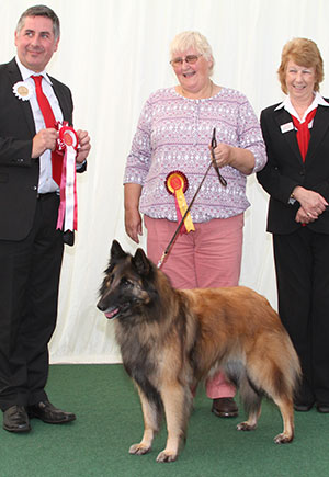 Miss J A Hearson & Miss K Malinowski Ch Domburg Hot Atthe Top At Jumasue JW with veteran group judge Mr J Horswell & B Banyard (Royal Canin) 