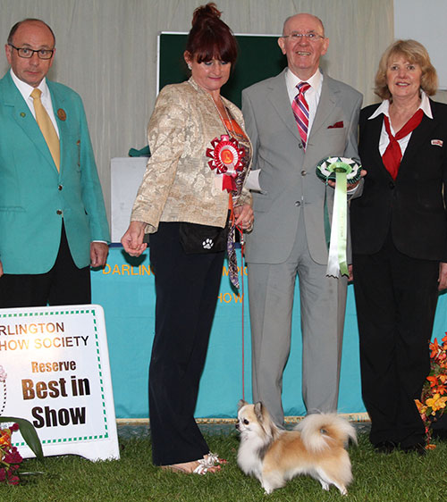 Mrs L J Adams Ch Hollyel Topaz Chancer JW with BIS judge Mr A Wight, Mr S Plane (Committee) & M Masterman (Royal Canin) 