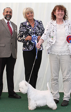 Miss M Burns & Mrs A Burns Burneze Geordie Girl with group judge Mrs E P Hollings & Mr A Bongiovanni (Royal Canin)