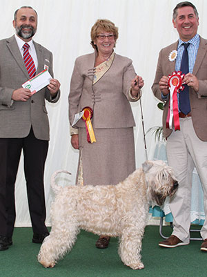 Mr & Mrs P & J Clarke Loofahsa Scaramouche Sh CM with veteran group judge Mr J Horswell & Mr A Bongiovanni (Royal Canin) 