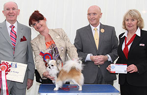 Mrs L J Adams Ch Hollyel Topaz Chancer JW with group judge Mr A Wight, Mr D Guy (Secretary) & M Masterman (Royal Canin)