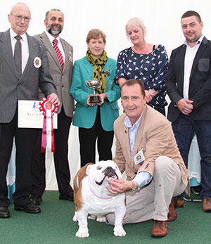Mr & Mrs P & H Seal Ch Sealaville He's Tyler with group judge Mr F Wildman, Miss G Marley (Committee) & Mr A Bongiovanni (Royal Canin)