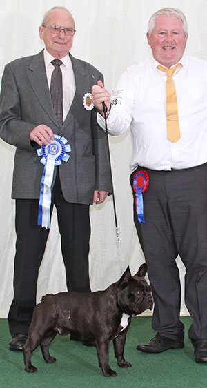 Mr D Cund & Mr & Mrs A Harrop Ch Chelmbull Moon Pilot with group judge Mr F Wildman