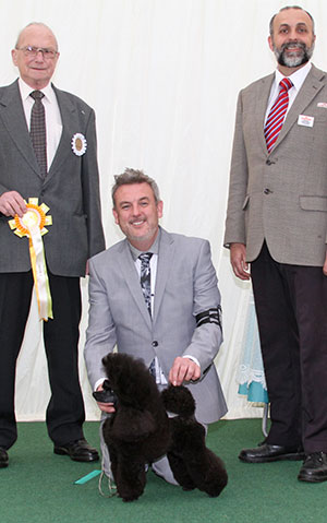 Mr L A Cox & Mrs A Evans Ch Vanitonia As You Wish TAF with group judge Mr F Wildman & Mr A Bongiovanni (Royal Canin)