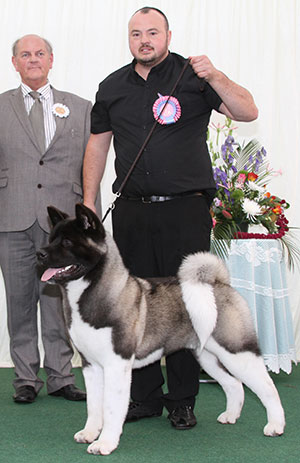 Mr M Bostock & Mr M Huls Dynamic Force Platnium Edition By Ruthdales NAF TA with puppy group judge Mr P Bakewell