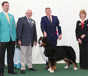 Mrs B Mair & Mrs C Hartley-Mair & Mr G Dybdall Ch Meadowpark Vertigo JW with group judge Dr R James, Mr J R Harrison (Show Manager) & B Banyard (R C)