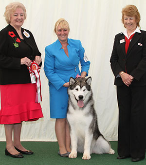 Ms S Ellis Chayo Classic Design with puppy group judge Mrs G C Chapman & B Banyard (Royal Canin)